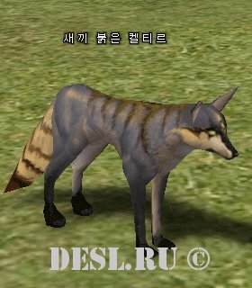    (Young Red Keltir) Lvl. 1, ID. 20530