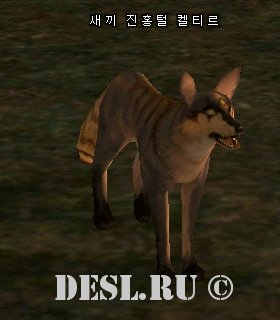    (Young Prairie Keltir) Lvl. 1, ID. 20531