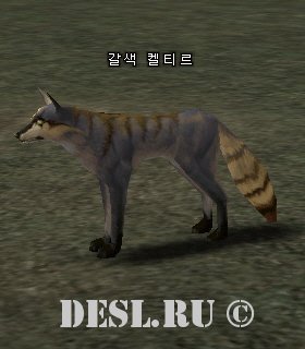   (Brown Keltir) Lvl. 2, ID. 20532