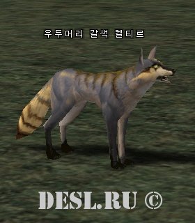    (Elder Brown Keltir) Lvl. 3, ID. 20536