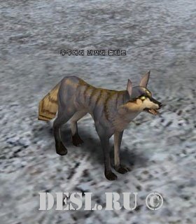   (Elder Longtail Keltir) Lvl. 3, ID. 20539