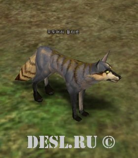   (Elder Keltir) Lvl. 3, ID. 20544