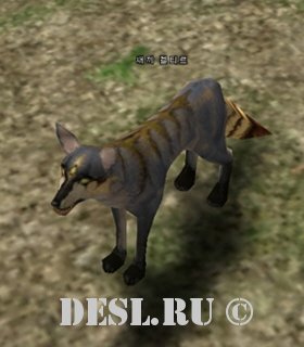   (Young Keltir) Lvl. 1, ID. 20545