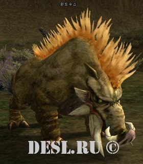  (Windsus) Lvl. 39, ID. 20553