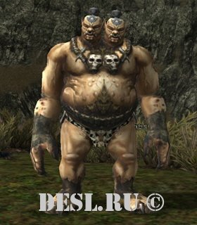  (Grandis) Lvl. 40, ID. 20554