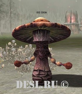   (Giant Fungus) Lvl. 40, ID. 20555