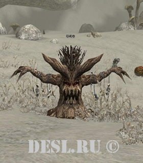   (Rotting tree) Lvl. 43, ID. 20558