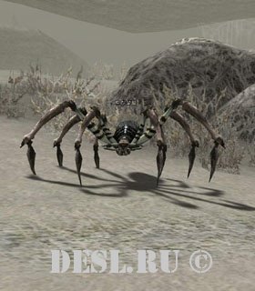   (Trisalim Spider) Lvl. 45, ID. 20560