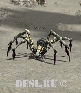   (Trisalim Tarantula) Lvl. 46, ID. 20561