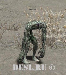   (Spore Zombie) Lvl. 47, ID. 20562