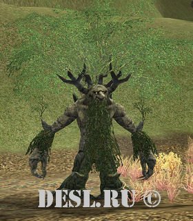   (Valley Treant) Lvl. 47, ID. 20591