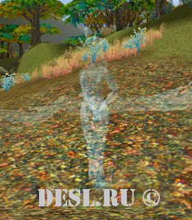   (Liele Elder) Lvl. 52, ID. 20596