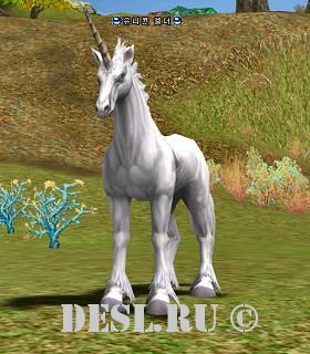   (Unicorn Elder) Lvl. 55, ID. 20599