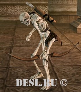   (Patin Archer) Lvl. 29, ID. 20608