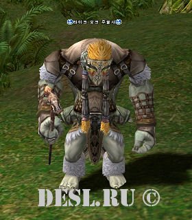    (Taik Orc Shaman) Lvl. 43, ID. 20633