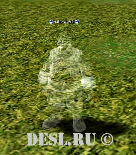   (Forest of Mirrors Ghost) Lvl. 46, ID. 20636