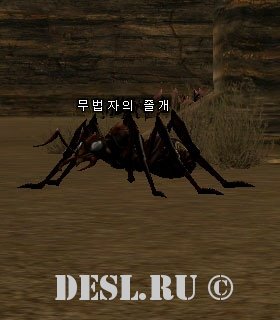   (Young Gigantiops) Lvl. 31, ID. 20746