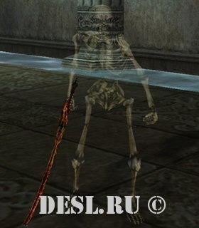   (Roxide Cohort) Lvl. 29, ID. 20748
