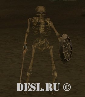   (Dragon Bearer Chief) Lvl. 49, ID. 20758