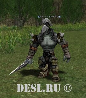     (Timak Orc Troop Leader) Lvl. 45, ID. 20767