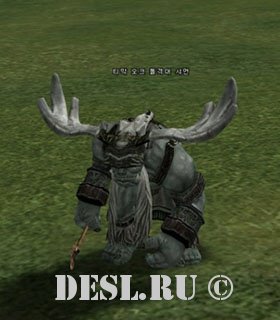    (Timak Orc Troop Shaman) Lvl. 44, ID. 20768