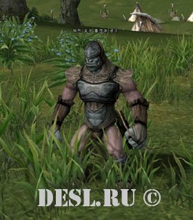     (Timak Orc Troop Archer) Lvl. 41, ID. 20770