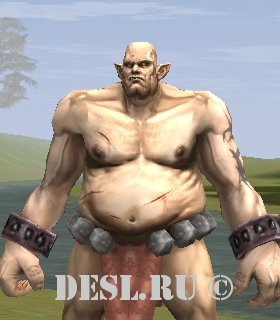   (Bugbear Raider) Lvl. 17, ID. 20775