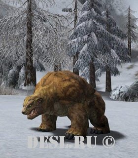   (Hunter Bear) Lvl. 14, ID. 20777