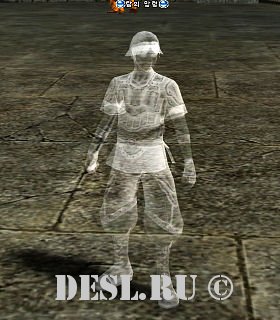   (Ghost of the Tower) Lvl. 60, ID. 20809