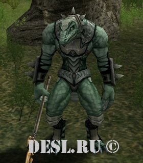   (Maille Lizardman) Lvl. 20, ID. 20919
