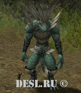    (Maille Lizardman Shaman) Lvl. 28, ID. 20923