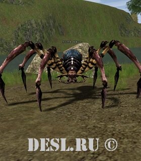   (Giant Araneid) Lvl. 24, ID. 20925