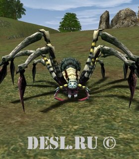   (Poison Araneid) Lvl. 25, ID. 20926