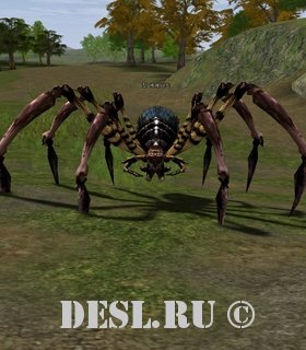   (King of the Araneid) Lvl. 27, ID. 20927