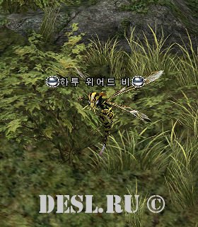    (Hatu Weird Bee) Lvl. 30, ID. 20928