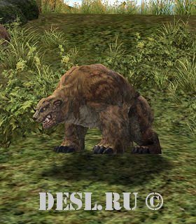    (Hatu Brown Bear) Lvl. 34, ID. 20930