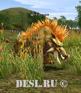 Вепрь Хату (Hatu Windsus) Lvl. 40, ID. 20933