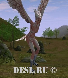    (Nightmare Guide) Lvl. 43, ID. 20942
