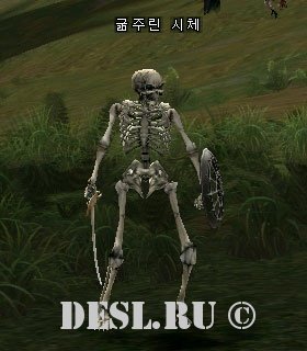   (Hungered Corpse) Lvl. 60, ID. 20954