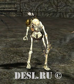   (Elmoradans Archer Escort) Lvl. 64, ID. 20978