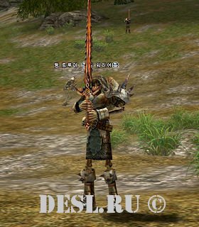   (Doom Warrior) Lvl. 64, ID. 21010