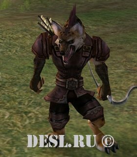    (Ol Mahum Van Archer) Lvl. 32, ID. 21013