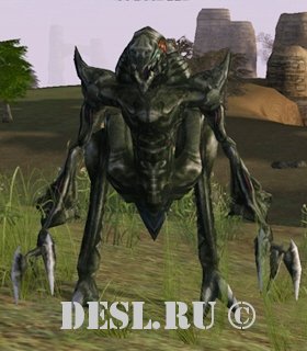    (Lesser Warlike Tyrant) Lvl. 33, ID. 21014