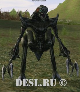   (Warlike Tyrant) Lvl. 35, ID. 21016
