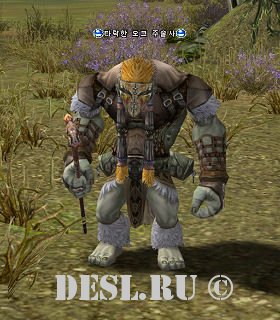    (Fallen Orc Shaman) Lvl. 58, ID. 21020