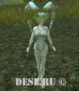   (Babbling Wind) Lvl. 27, ID. 21024