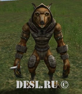    (Ratman Sub Chieftain) Lvl. 19, ID. 21093