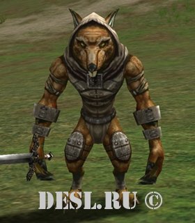 Вождь Крысолюдов (Ratman Chieftain) Lvl. 20, ID. 21094