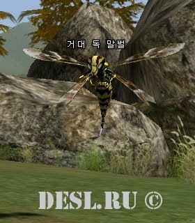    (Giant Poison Bee) Lvl. 21, ID. 21095