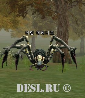   (Young Araneid) Lvl. 23, ID. 21097